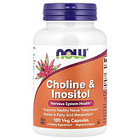 CHOLINE & INOSITOL 250/250mg 100 VCAPS